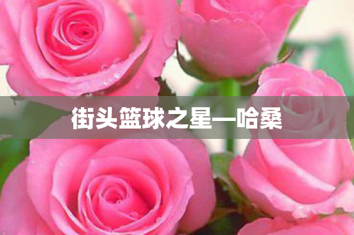 街头篮球之星—哈桑