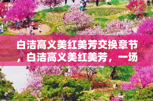 白洁高义美红美芳交换章节，白洁高义美红美芳，一场关于时尚与文化的深度交流