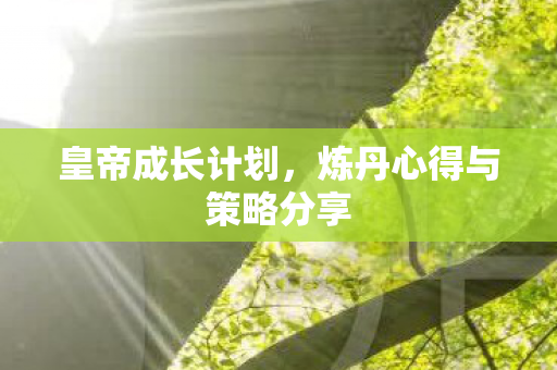 皇帝成长计划，炼丹心得与策略分享