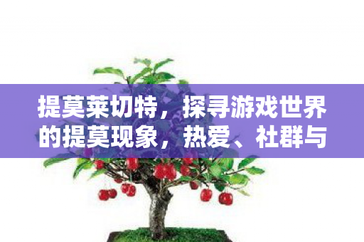 提莫莱切特，探寻游戏世界的提莫现象，热爱、社群与多元体验