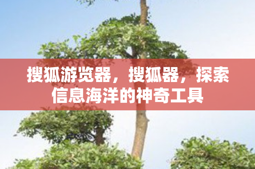 搜狐游览器，搜狐器，探索信息海洋的神奇工具