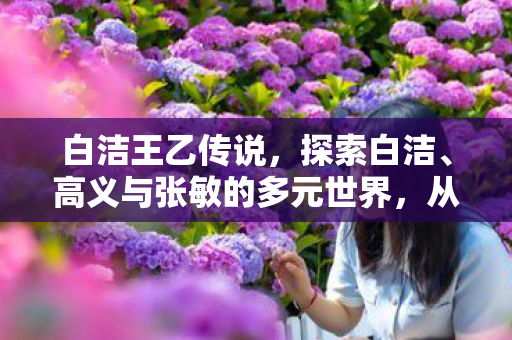 白洁王乙传说，探索白洁、高义与张敏的多元世界，从个人成长到社会影响