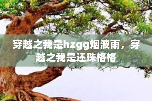 穿越之我是hzgg烟波雨，穿越之我是还珠格格