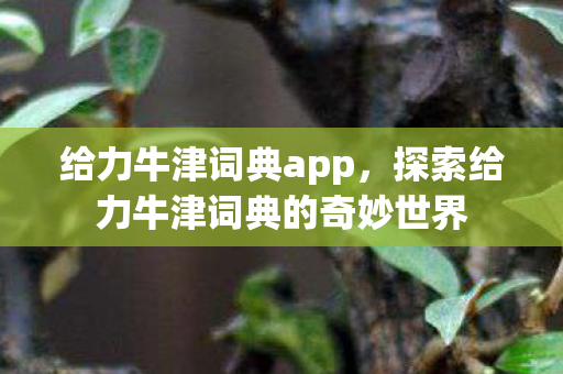 给力牛津词典app，探索给力牛津词典的奇妙世界