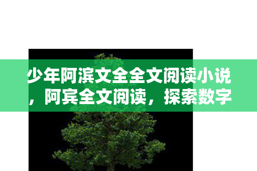 少年阿滨文全全文阅读小说，阿宾全文阅读，探索数字时代的阅读新体验