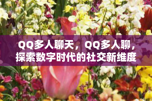 QQ多人聊天，QQ多人聊，探索数字时代的社交新维度