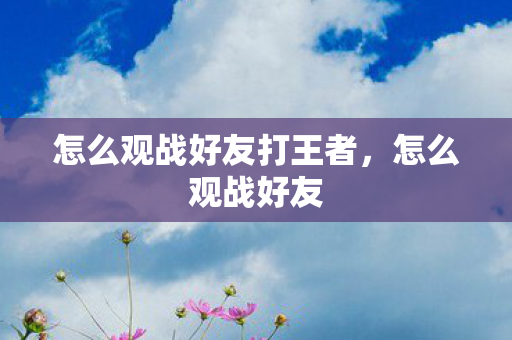 怎么观战好友打王者，怎么观战好友