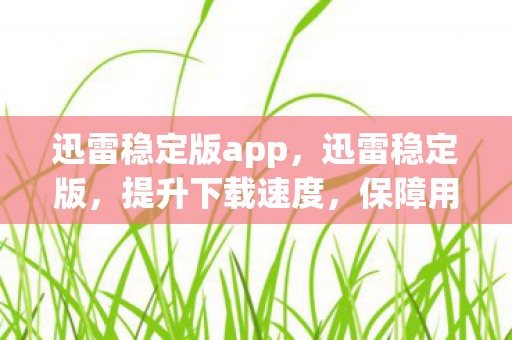 迅雷稳定版app，迅雷稳定版，提升下载速度，保障用户体验