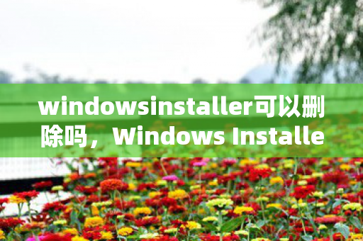 windowsinstaller可以删除吗，Windows Installer，深度解析其工作原理与常见问题