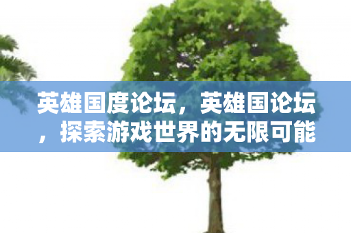 英雄国度论坛，英雄国论坛，探索游戏世界的无限可能