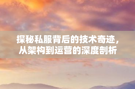 探秘私服背后的技术奇迹，从架构到运营的深度剖析