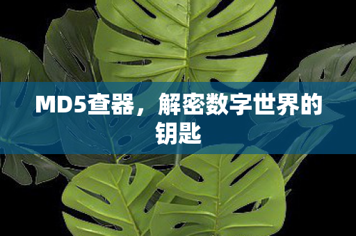 MD5查器，解密数字世界的钥匙