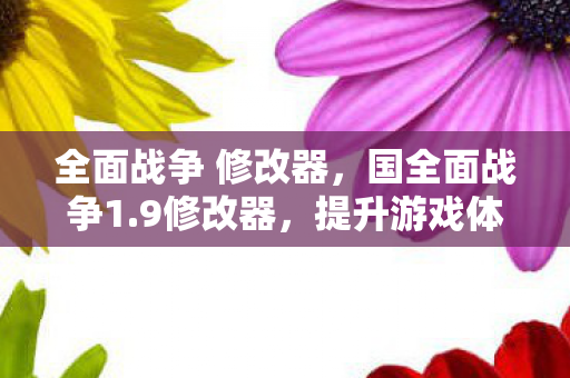 全面战争 修改器，国全面战争1.9修改器，提升游戏体验的利器