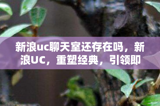 新浪uc聊天室还存在吗，新浪UC，重塑经典，引领即时通讯新时代
