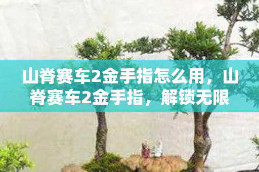 山脊赛车2金手指怎么用，山脊赛车2金手指，解锁无限可能的赛车体验