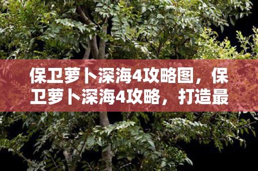 保卫萝卜深海4攻略图，保卫萝卜深海4攻略，打造最强防御阵容