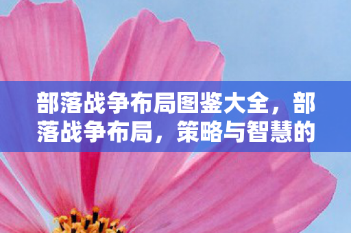 部落战争布局图鉴大全，部落战争布局，策略与智慧的碰撞