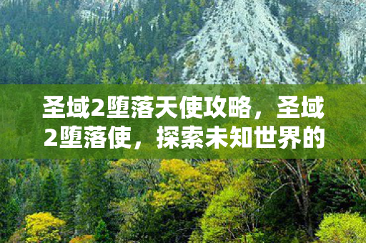 圣域2堕落天使攻略，圣域2堕落使，探索未知世界的奇幻冒险