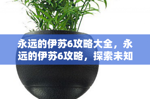 永远的伊苏6攻略大全，永远的伊苏6攻略，探索未知世界的全面指南