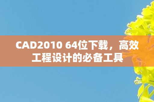 CAD2010 64位下载，高效工程设计的必备工具