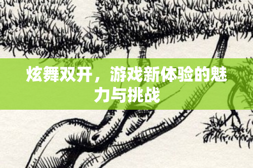 炫舞双开，游戏新体验的魅力与挑战