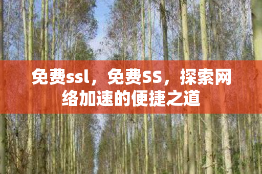 免费ssl，免费SS，探索网络加速的便捷之道