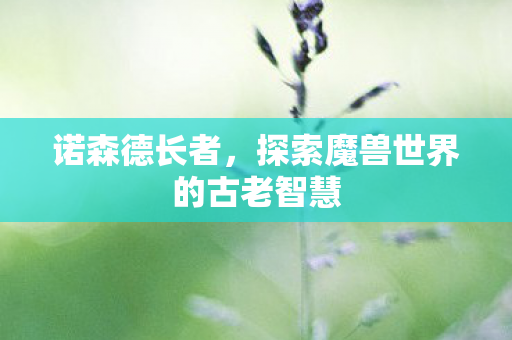 诺森德长者，探索魔兽世界的古老智慧