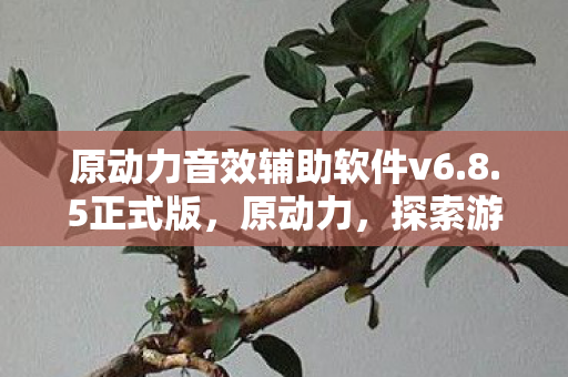 原动力音效辅助软件v6.8.5正式版，原动力，探索游戏音效的无限可能
