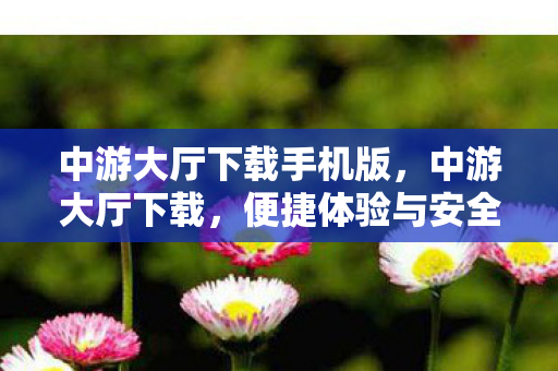 中游大厅下载手机版，中游大厅下载，便捷体验与安全保障的完美结合