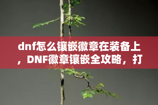 dnf怎么镶嵌徽章在装备上，DNF徽章镶嵌全攻略，打造个性角色，提升战斗实力