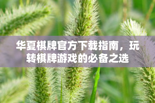 华夏棋牌官方下载指南，玩转棋牌游戏的必备之选