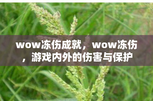 wow冻伤成就，wow冻伤，游戏内外的伤害与保护