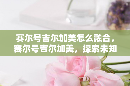 赛尔号吉尔加美怎么融合，赛尔号吉尔加美，探索未知，挑战极限