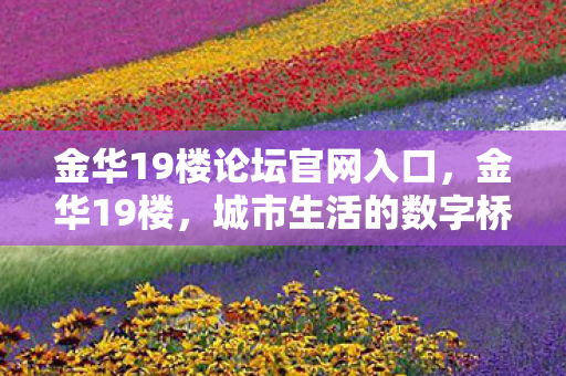 金华19楼论坛官网入口，金华19楼，城市生活的数字桥梁