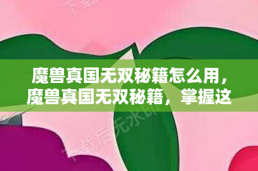 魔兽真国无双秘籍怎么用，魔兽真国无双秘籍，掌握这些技巧，称霸战场！