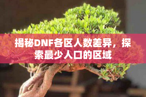 揭秘DNF各区人数差异，探索最少人口的区域