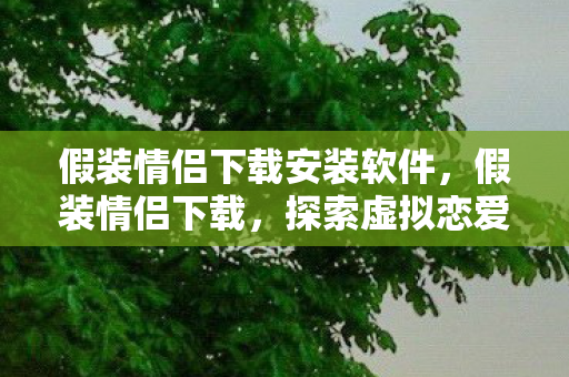 假装情侣下载安装软件，假装情侣下载，探索虚拟恋爱的新世界