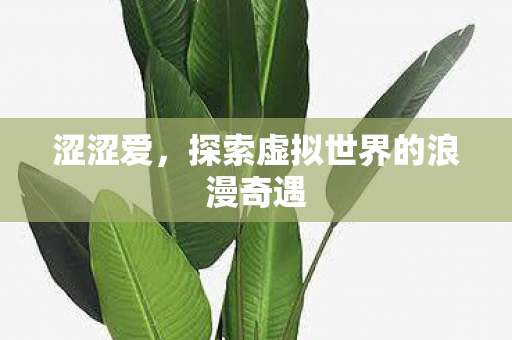 涩涩爱，探索虚拟世界的浪漫奇遇