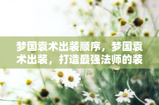 梦国袁术出装顺序，梦国袁术出装，打造最强法师的装备指南