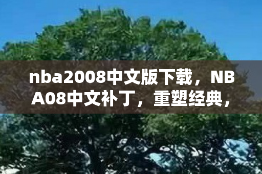 nba2008中文版下载，NBA08中文补丁，重塑经典，尽享篮球盛宴
