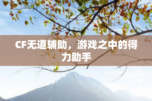 CF无道辅助，游戏之中的得力助手
