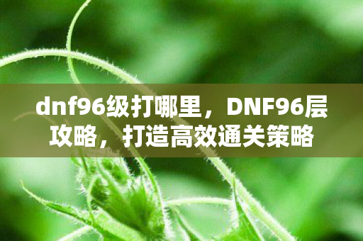 dnf96级打哪里，DNF96层攻略，打造高效通关策略