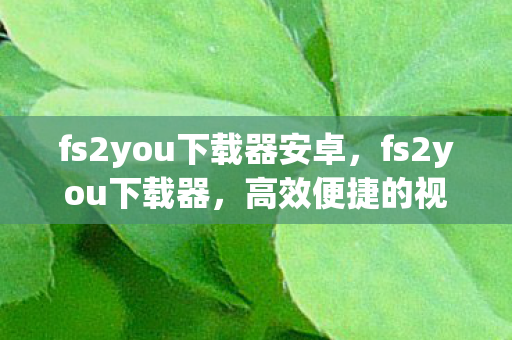 fs2you下载器安卓，fs2you下载器，高效便捷的视频资源获取利器