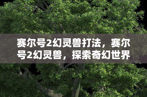 赛尔号2幻灵兽打法，赛尔号2幻灵兽，探索奇幻世界的奇妙冒险