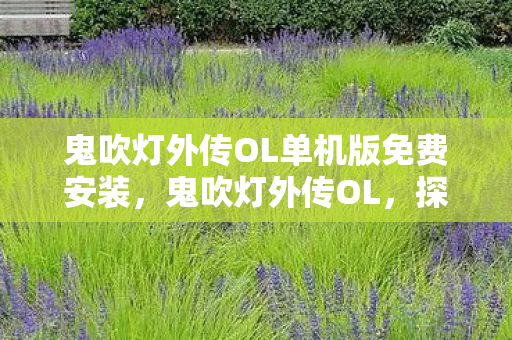 鬼吹灯外传OL单机版免费安装，鬼吹灯外传OL，探索未知世界的奇幻之旅