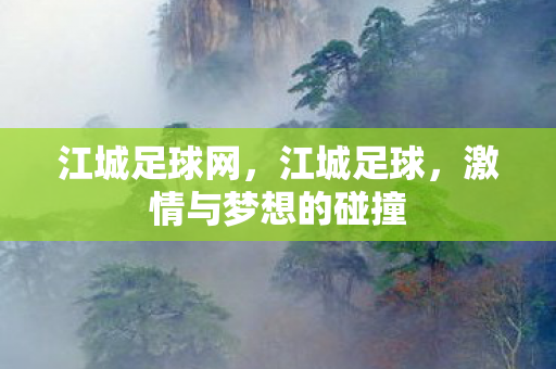 江城足球网，江城足球，激情与梦想的碰撞