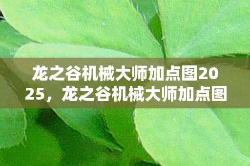 龙之谷机械大师加点图2025，龙之谷机械大师加点图，打造最强机械师的加点策略