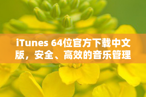 iTunes 64位官方下载中文版，安全、高效的音乐管理新体验
