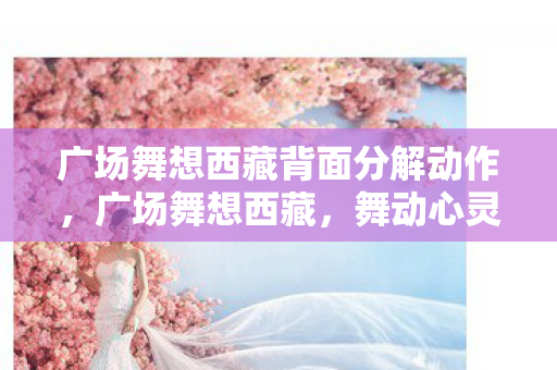 广场舞想西藏背面分解动作，广场舞想西藏，舞动心灵的边疆之旅