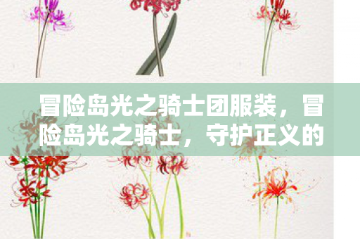 冒险岛光之骑士团服装，冒险岛光之骑士，守护正义的骑士之旅